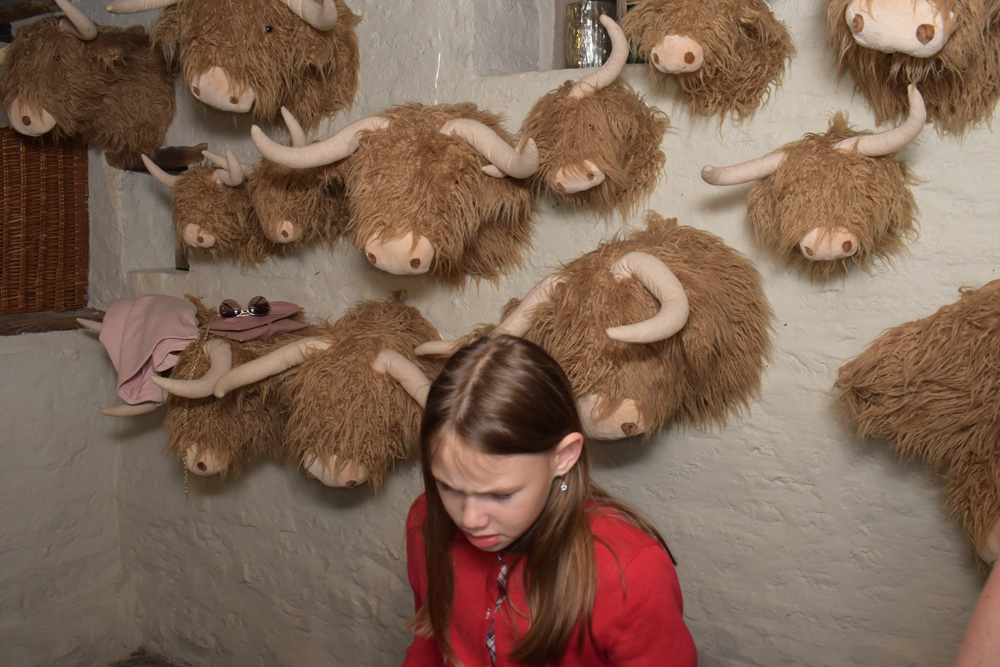 PartyBooth BY ELIAS WALPOT PHOTOGRAPHIE
